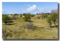 DSC0060-2