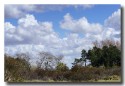 DSC0262-2