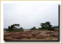 DSC5659