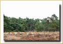 DSC5802