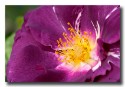 DSC0049