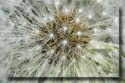 P1010284